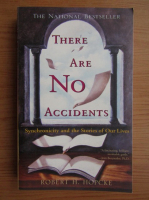 Robert H. Hopcke - There are no accidents