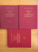 R. D. Sinelnikov - Atlas de anatomia humana (3 volume)