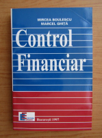Mircea Boulescu - Control financiar