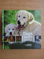 Dogs, 1001 photos