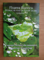 Florea Buzincu - Picatori de roua pe frunze uscate (volumul 6)
