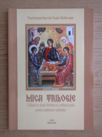 Iconom Stavrofor Teodor Moldoveanu - Mica trilogie