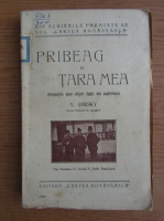 V. Gorsky - Pribeag in tara mea (1925)