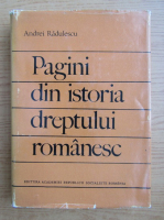 Andrei Radulescu - Pagini din istoria dreptului romanesc