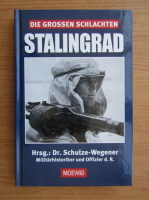 Guntram Schulze Wegener - Stalingrad