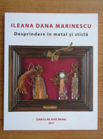 Ileana Dana Marinescu - Desprindere in metal si sticla