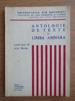 Iulian Marian - Antologie de texte in limba amhara