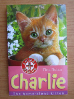 Tina Nolan - Charlie the home-alone kitten