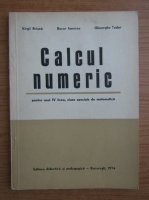 Virgil Brisca - Calcul numeric pentru anul IV liceu, clasele speciale de matematica