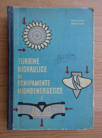 Dorin Pavel - Turbine hidraulice si echipamente hidroenergetice (volumul 1)