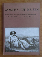 Eike Pies - Goethe auf Reise