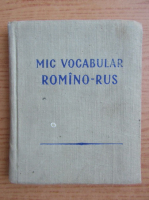 Mic vocabular romano-rus