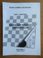 Petru Gabriel Salageanu - Ideile din spatele variantelor (volumul 1)