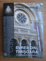 Tiberiu Schatteles - Evreii din Timisoara in perspectiva istorica 
