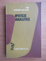 Anticariat: Arie Grunberg Matache - Ipoteze analitice