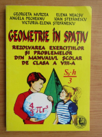Elena Neacsu, Ioan Stefanescu - Geometrie in spatiu. Rezolvarea exercitiilor si problemelor din manualul scolar de clasa a VIII-a