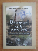 Steliana Duliu-Bajdechi - Drumuri sub cenusa 