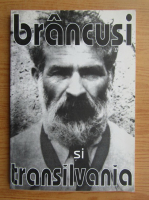 Constantin Zarnescu - Brancusi si Transilvania