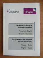 Anticariat: Dictionary of social protection terms romanian-english, english-romanian
