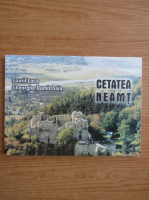 Anticariat: Gavril Luca - Cetatea Neamt