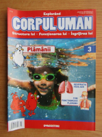 Revista Explorand Corpul Uman, nr. 3, 2000