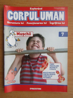 Revista Explorand Corpul Uman, nr. 7, 2000