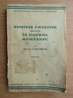 Seminte crestine sadite in ogorul romanesc (volumul 3, 1931)