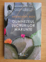 Arundhati Roy - Dumnezeul lucrurilor marunte