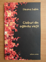 Ileana Sabin - Cioburi din oglinda vietii