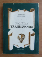 Athanasie Bulencea - Viile si vinurile Transilvaniei