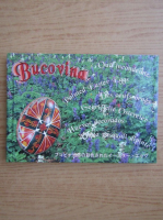 Bucovina. Oua incondeiate