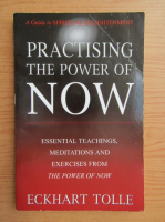 Eckhart Tolle - Practising the power now