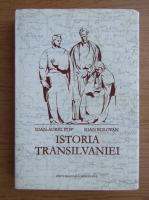 Anticariat: Ioan Aurel Pop, Ioan Bolovan - Istoria Transilvaniei
