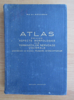 Ion Niculescu - Atlas privind aspecte morfologice ale terminatiilor nervoase viscerale. Contributii la studiul problemei interceptorilor