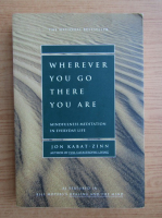 Jon Kabat-Zinn - Wherever you go, there you are