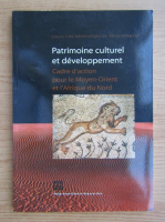 Patrimoine culturel et developpement. Cadre d'action pour le Moyen-Orient et l'Afrique du Nord