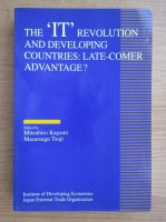 The IT revolution and developing countries, late comer advantage?