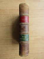 Alphonse Daudet - Numa roumestan (1893)