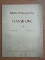 Lucian Grigorovici - Transitions 