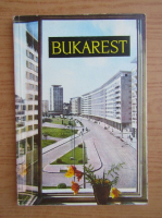 Bukarest. Monografie