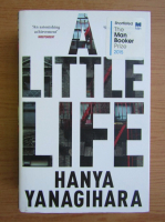 Hanya Yanagihara - A little life