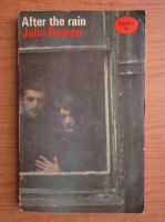 John Bowen - After the rain 