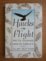 Pete Dunne - Hawks in flight