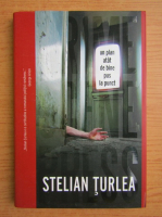 Stelian Turlea - Un plan atat de bine pus la punct