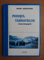 Victor Sorocovschi - Podisul Tarnavelor 