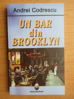 Andrei Codrescu - Un bar din Brooklyn