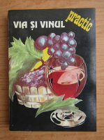 Anticariat: Avram D. Tudosie - Via si vinul