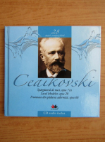 Ceaikovski, 28 mari compozitori