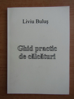 Liviu Bulus - Ghid practic de calcaturi