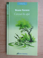 Bruno Ferrero - Cercuri in apa